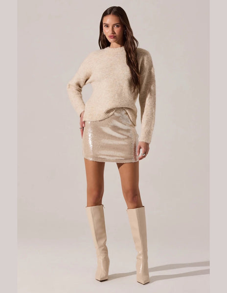 Darby Sequin Mini Skirt