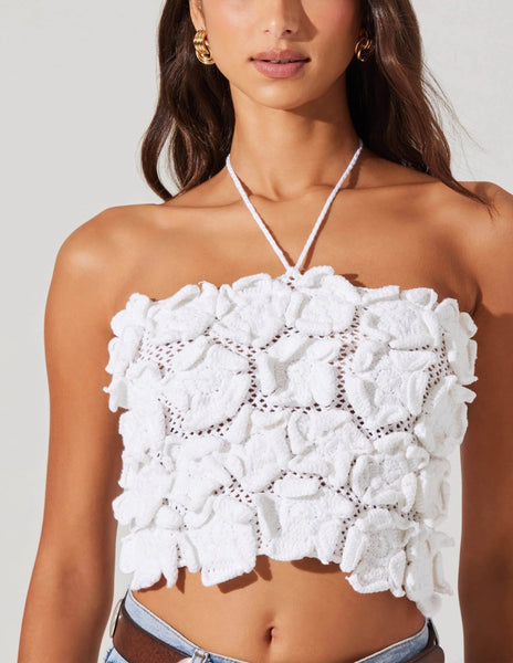 Primula Top