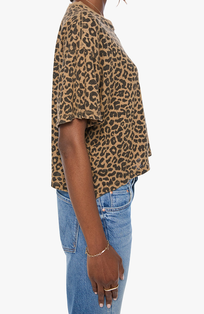 The SS Boxy Ringer