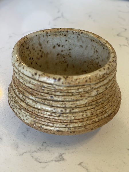 Succulent Planter in Natural Speckled